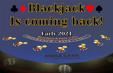 mole lake casino wi|Play the Mole Lake Way with our slots, bingo, .